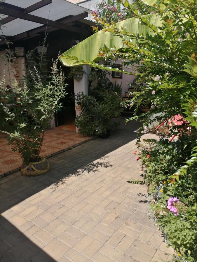 Magnoliia Hotel Sukhumi Exterior foto