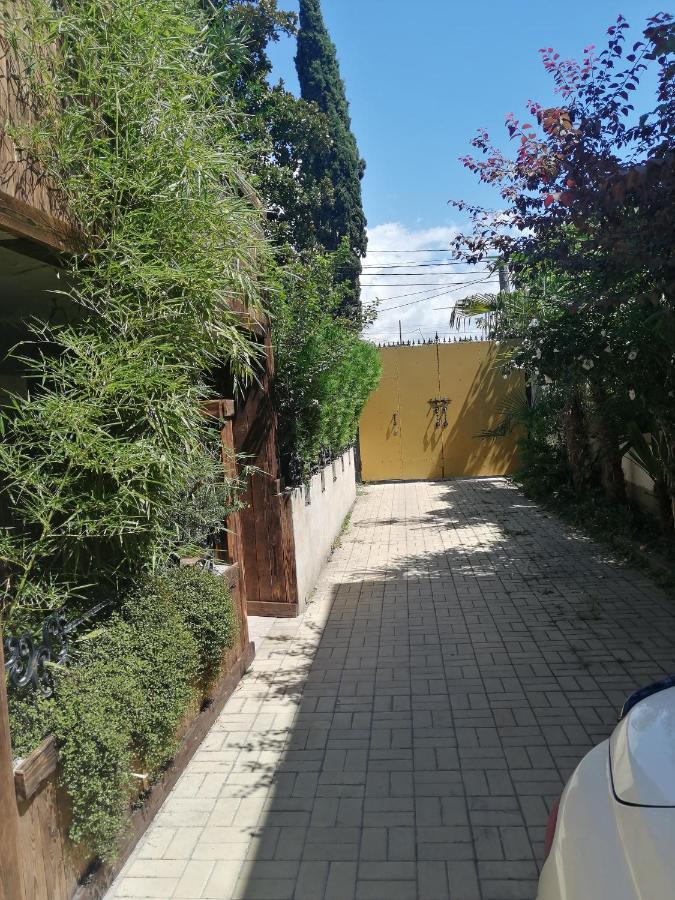 Magnoliia Hotel Sukhumi Exterior foto